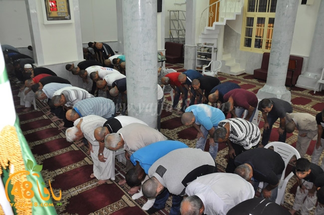 qader yaffa msajed (26).JPG